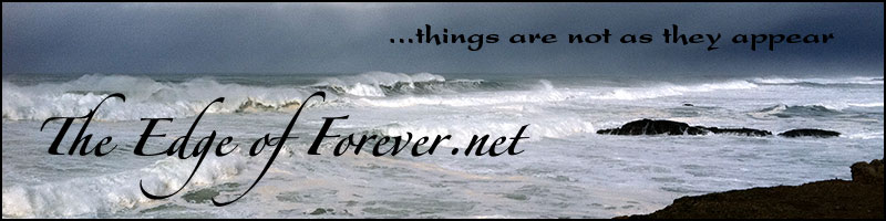 Edge of Forever banner, surf at glass beach